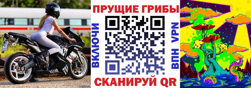 хочу наркоту  Суворов  Галлюциногенные грибы GOLDEN TEACHER 